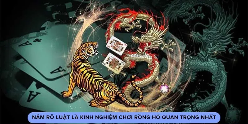 Nắm rõ luật là kinh nghiệm chơi rồng hổ quan trọng nhất Nắm rõ luật là kinh nghiệm chơi rồng hổ quan trọng nhất